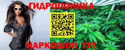 mix Заводоуковск