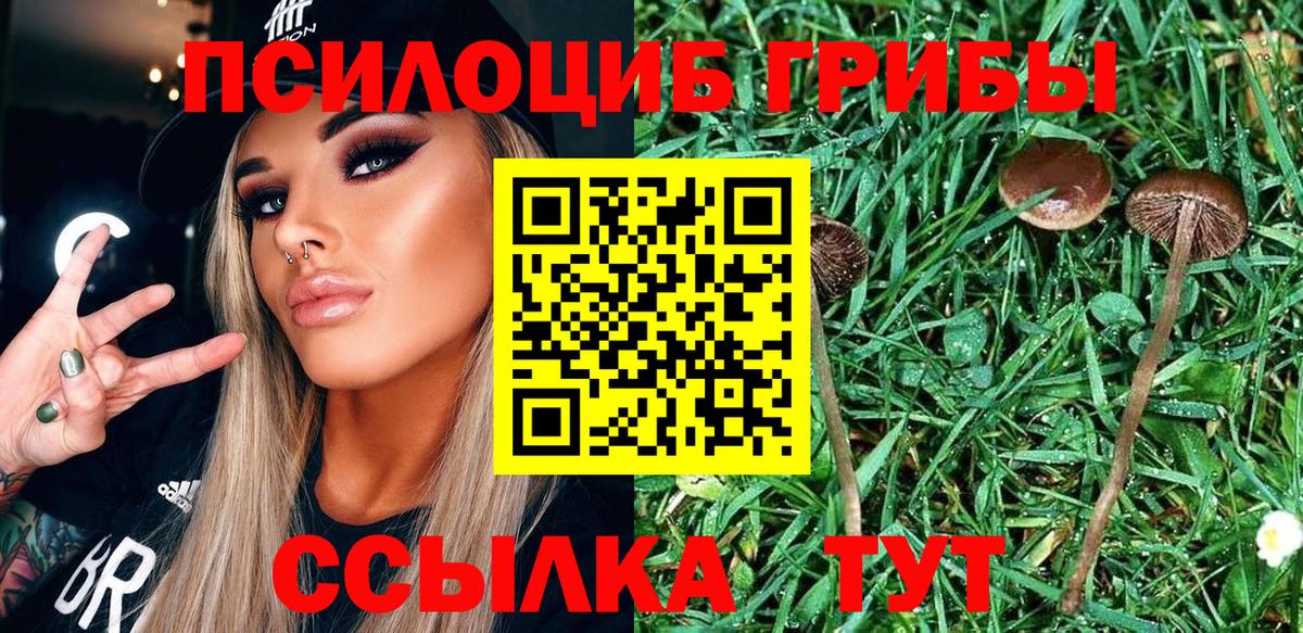 Галлюциногенные грибы Magic Shrooms Кунгур