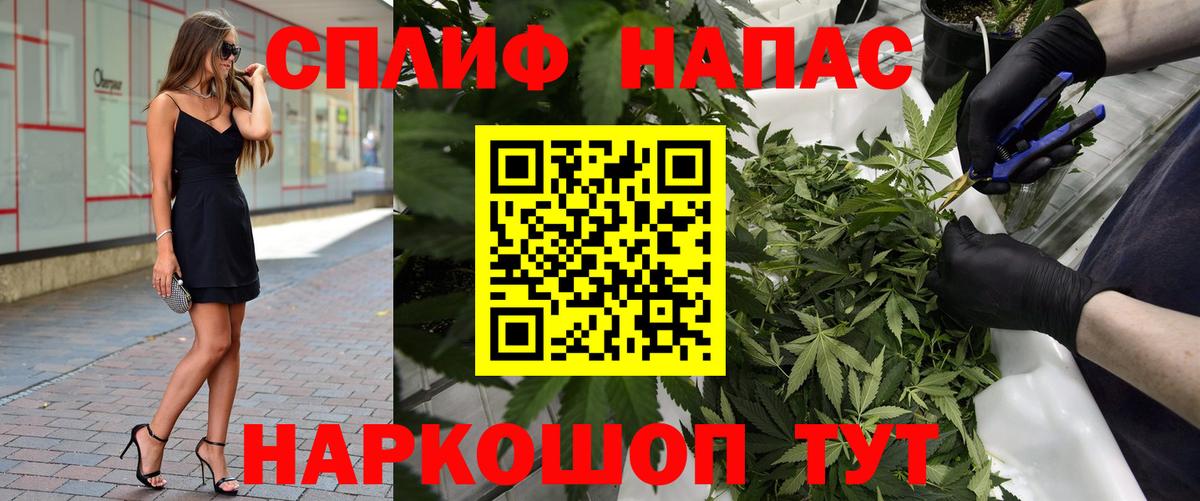 Каннабис планчик Кунгур